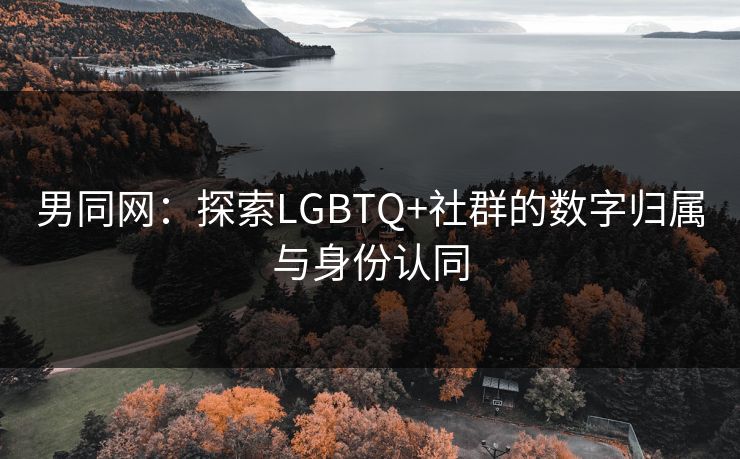 男同网：探索LGBTQ+社群的数字归属与身份认同